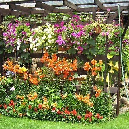 Penzion Nevcehle Urbanov Ngoại thất bức ảnh