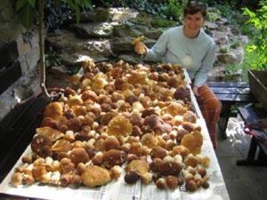 Penzion Nevcehle Urbanov Ngoại thất bức ảnh